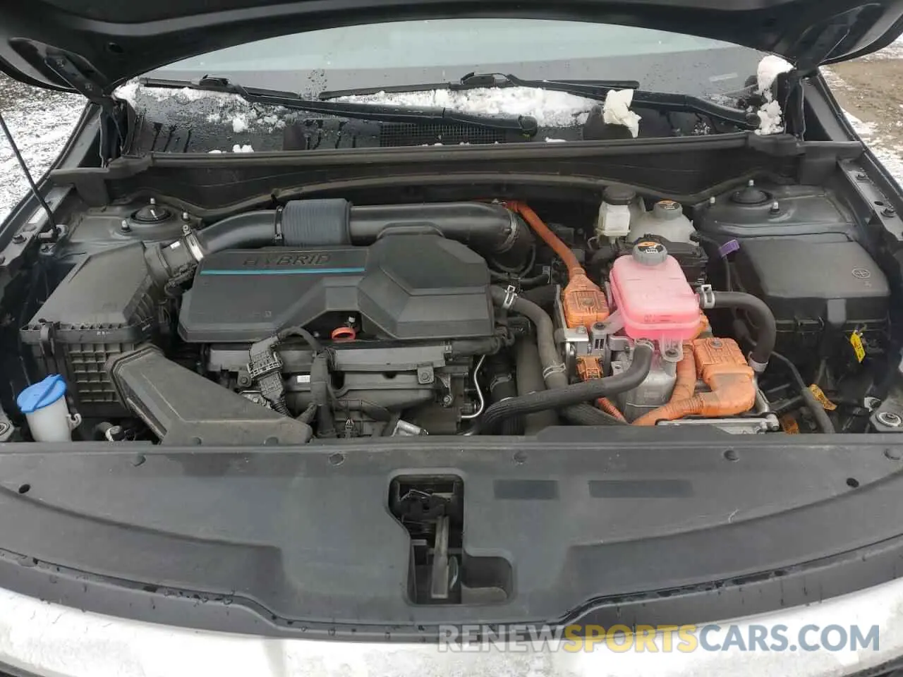 12 fotografías del automóvil dañado KNDPUCAG9P7031300 KIA SPORTAGE 2023
