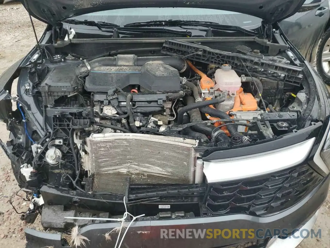 12 fotografías del automóvil dañado KNDPVCAG0P7070208 KIA SPORTAGE 2023
