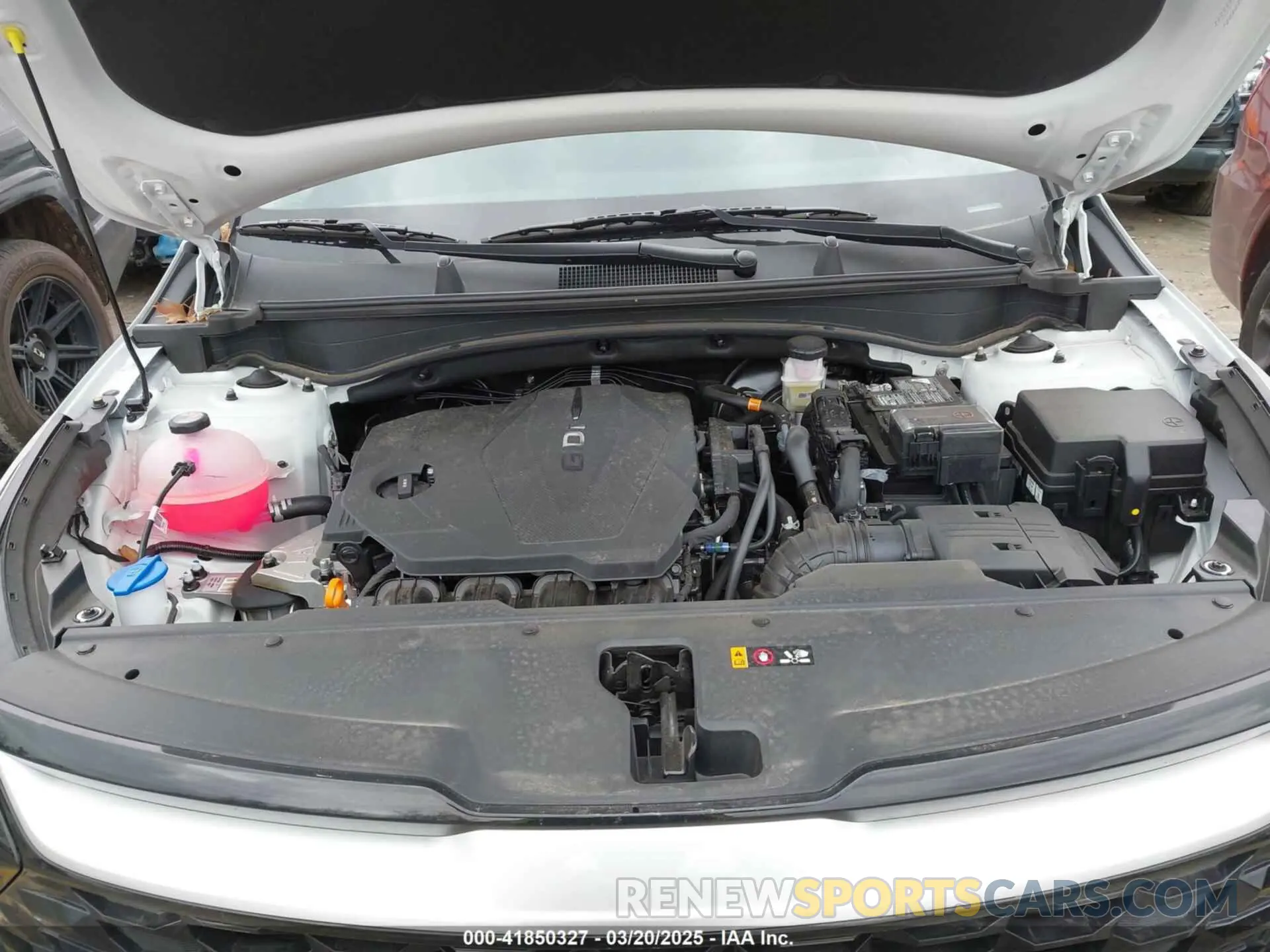 10 fotografías del automóvil dañado 5XYK33DF0RG232671 KIA SPORTAGE 2024