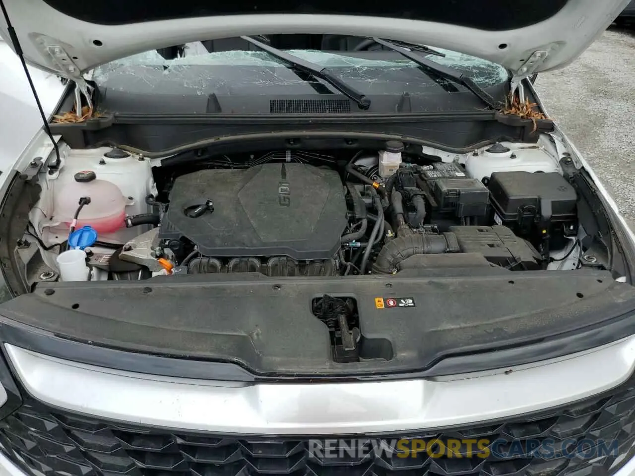 13 fotografías del automóvil dañado 5XYK33DF7RG184280 KIA SPORTAGE 2024