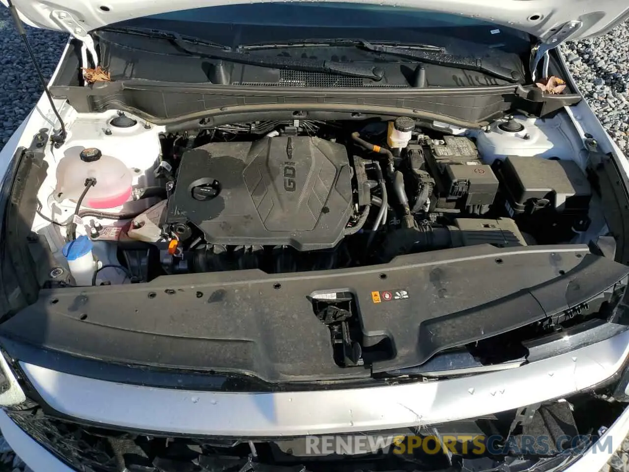 12 fotografías del automóvil dañado 5XYK33DF7RG210358 KIA SPORTAGE 2024
