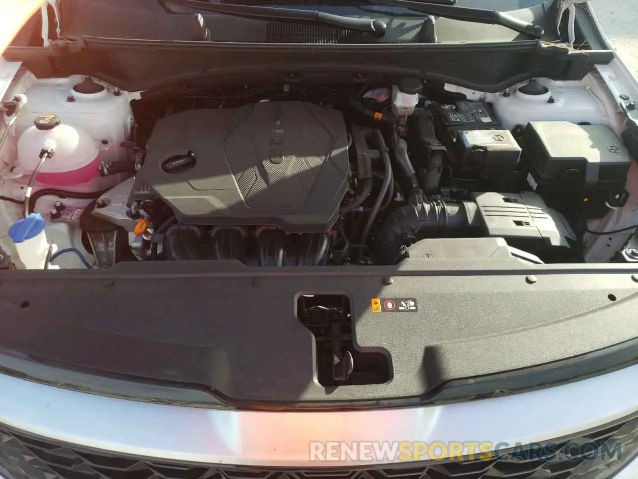 12 fotografías del automóvil dañado 5XYK33DF8RG231798 KIA SPORTAGE 2024
