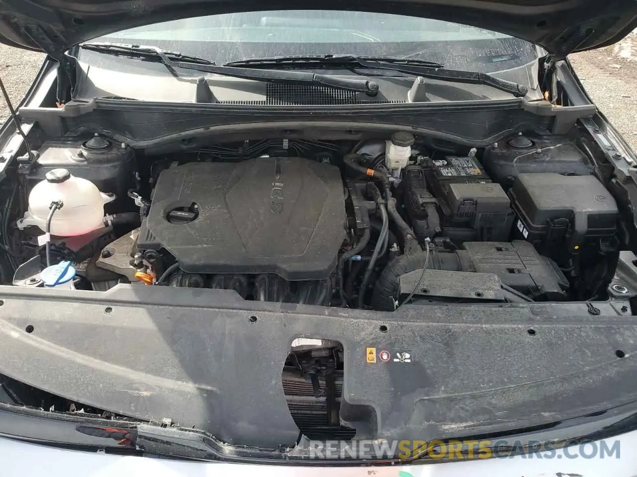 12 fotografías del automóvil dañado 5XYK33DF9RG170025 KIA SPORTAGE 2024