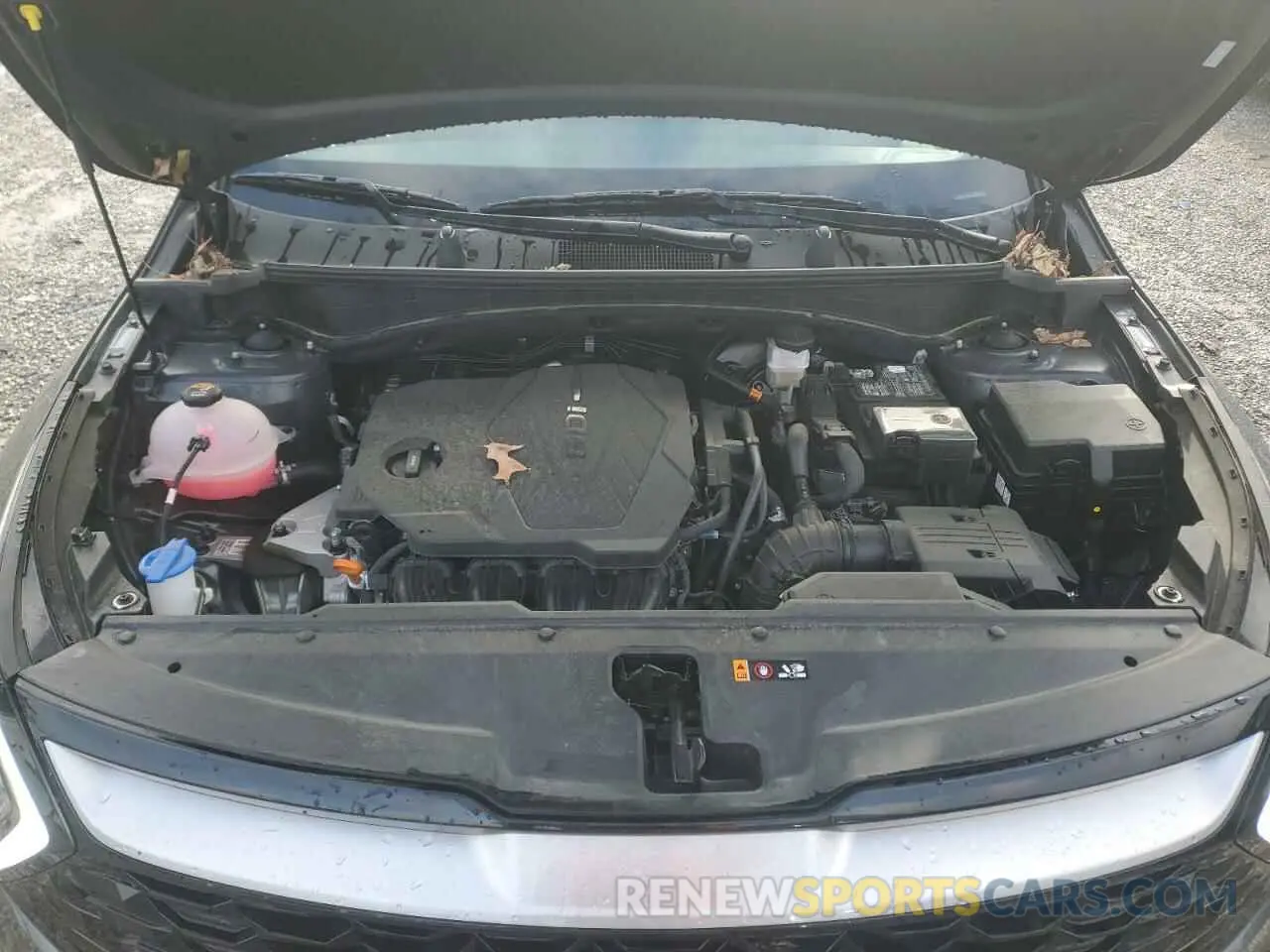 12 fotografías del automóvil dañado 5XYK33DFXRG213027 KIA SPORTAGE 2024