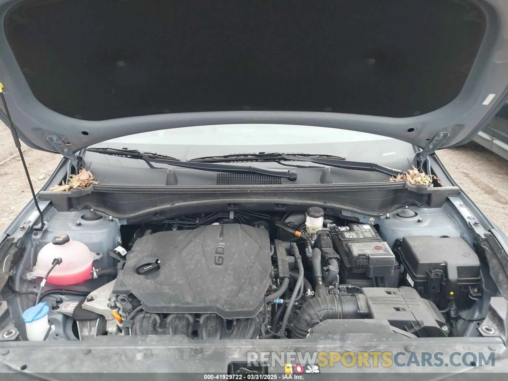10 fotografías del automóvil dañado 5XYK3CDF0RG172794 KIA SPORTAGE 2024