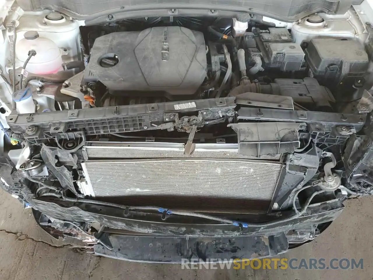 13 fotografías del automóvil dañado 5XYK3CDF2RG201180 KIA SPORTAGE 2024