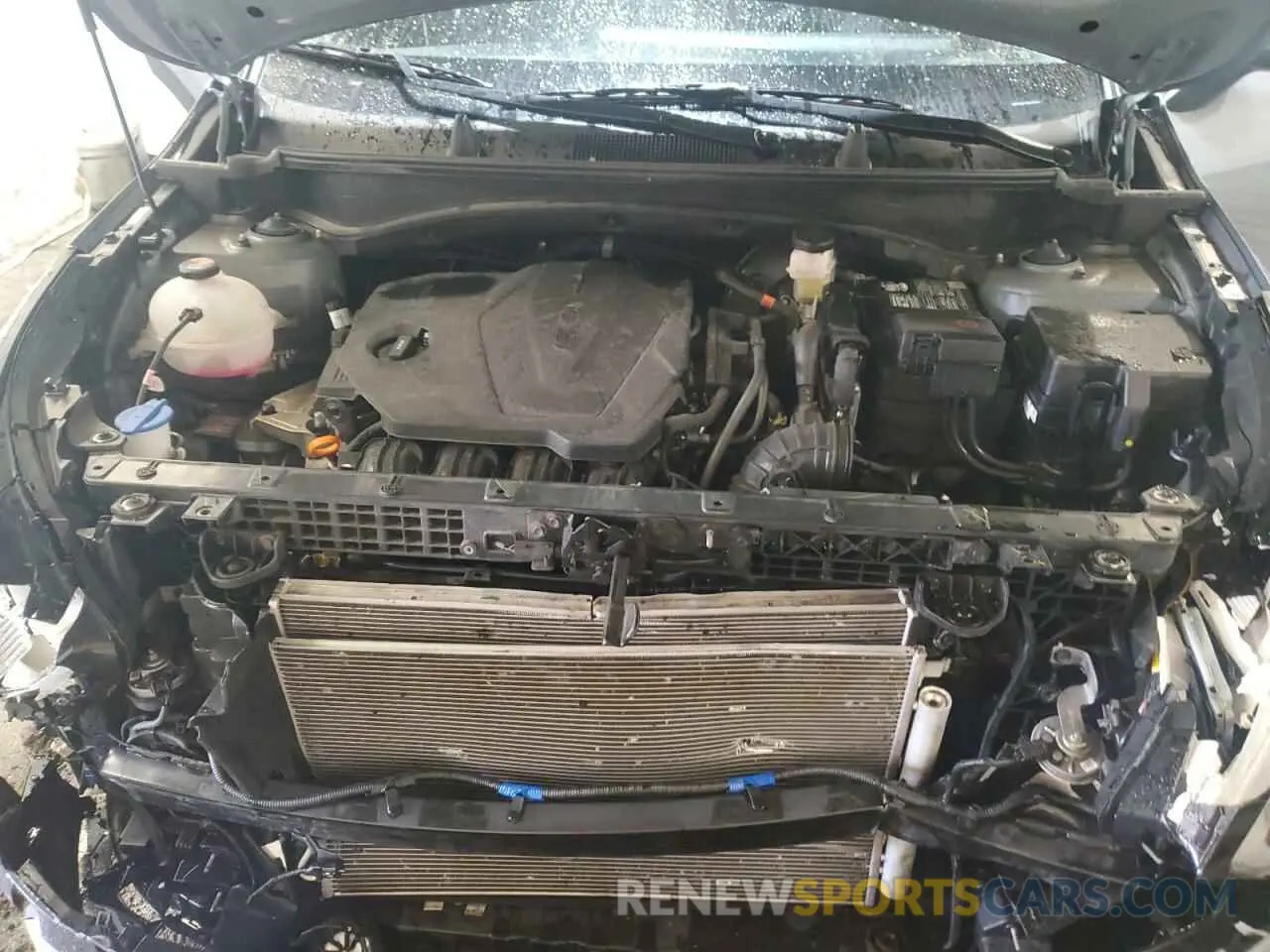 12 fotografías del automóvil dañado 5XYK3CDF4RG139135 KIA SPORTAGE 2024