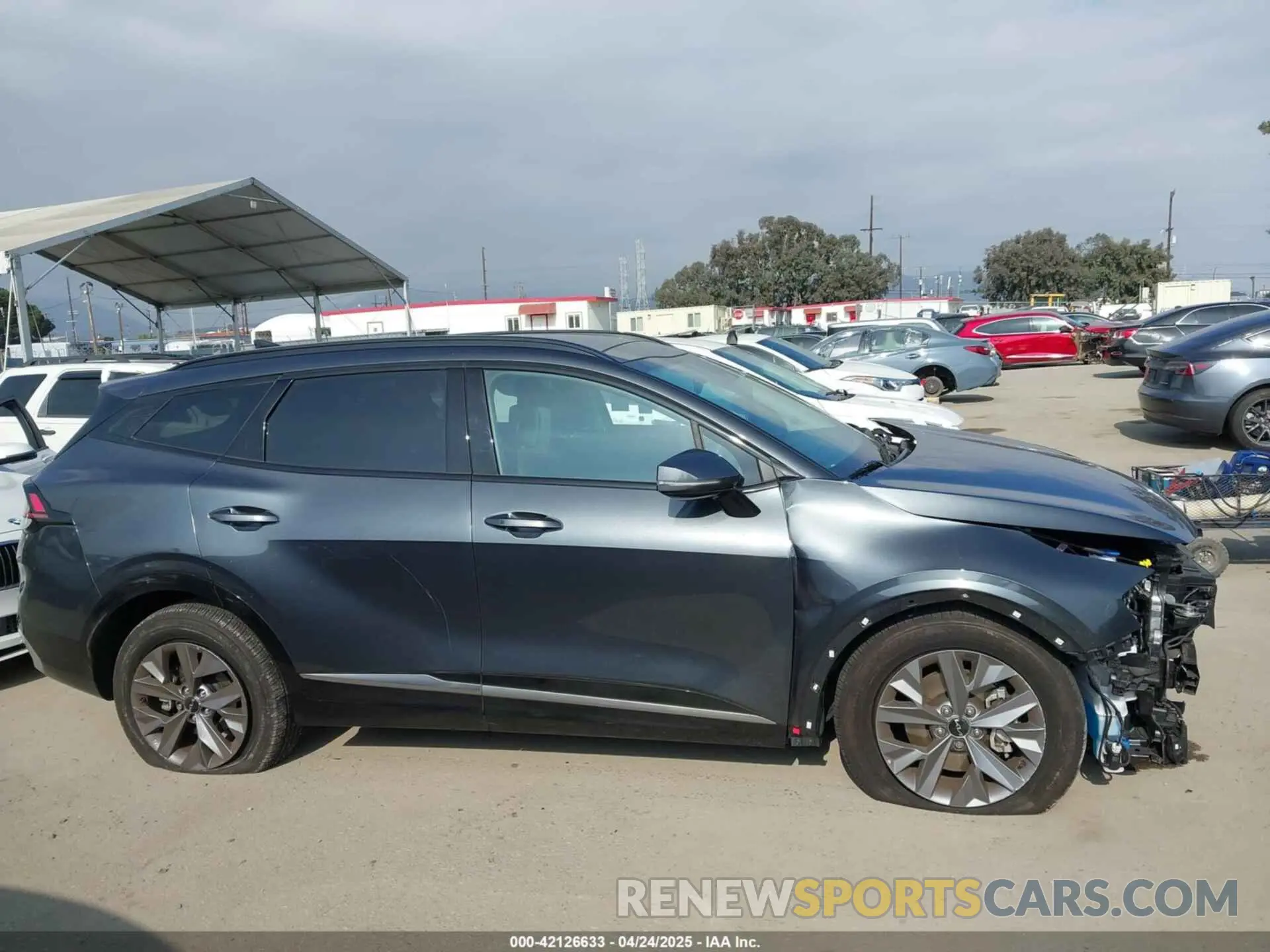 14 fotografías del automóvil dañado 5XYK43DF0RG222512 KIA SPORTAGE 2024
