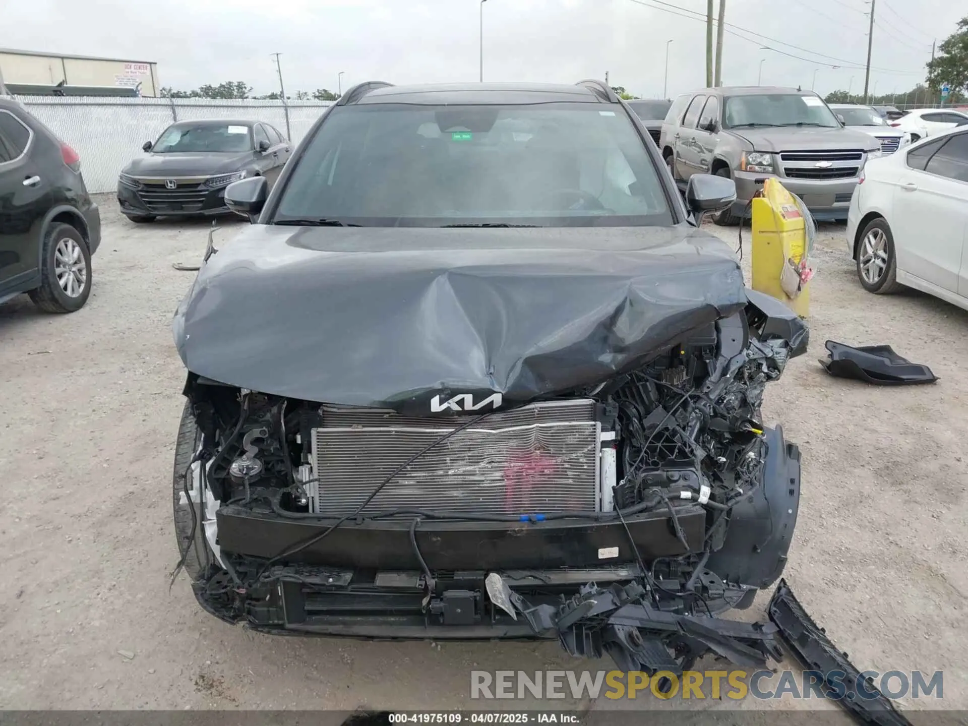 12 fotografías del automóvil dañado 5XYK43DF1RG157279 KIA SPORTAGE 2024