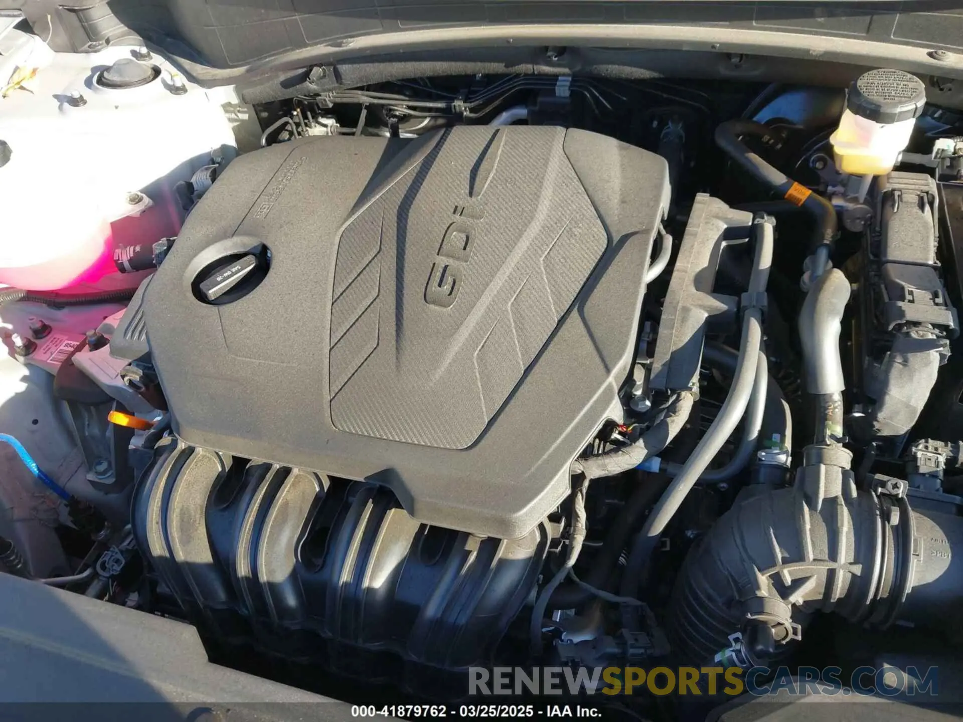 10 fotografías del automóvil dañado 5XYK43DF1RG213124 KIA SPORTAGE 2024