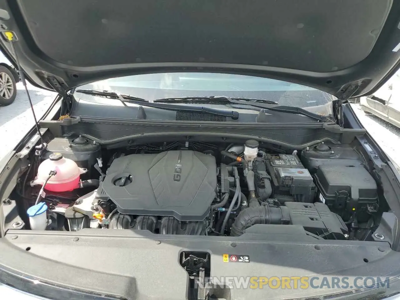 12 fotografías del automóvil dañado 5XYK43DF6RG180508 KIA SPORTAGE 2024