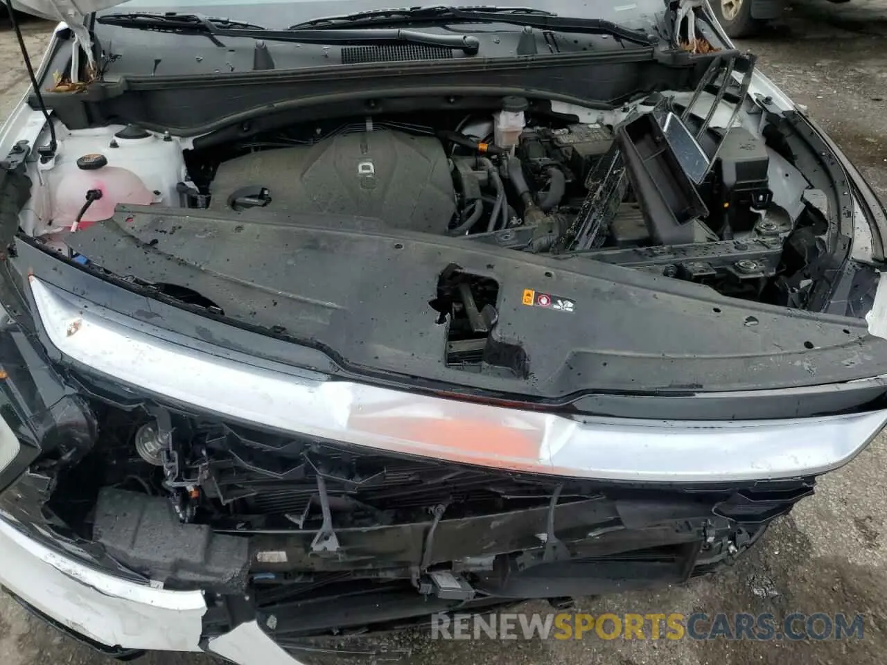 11 fotografías del automóvil dañado 5XYK43DF8RG213685 KIA SPORTAGE 2024