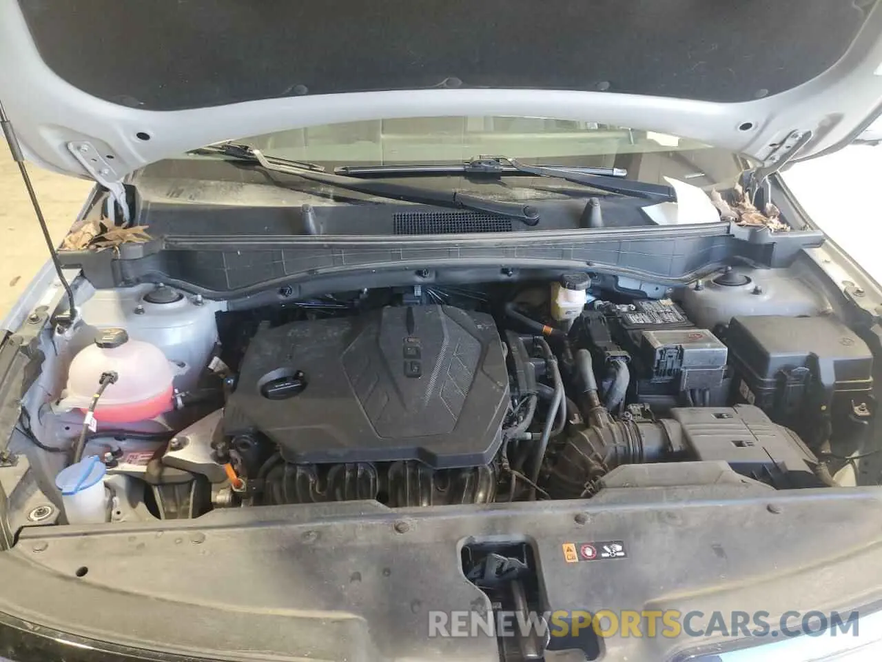 13 fotografías del automóvil dañado 5XYK53DF1RG185581 KIA SPORTAGE 2024