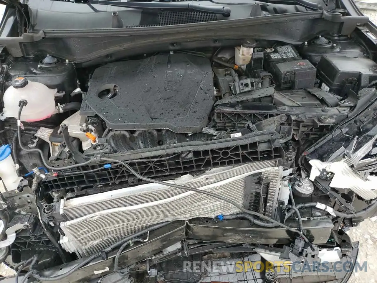 12 fotografías del automóvil dañado 5XYK53DF3RG187381 KIA SPORTAGE 2024
