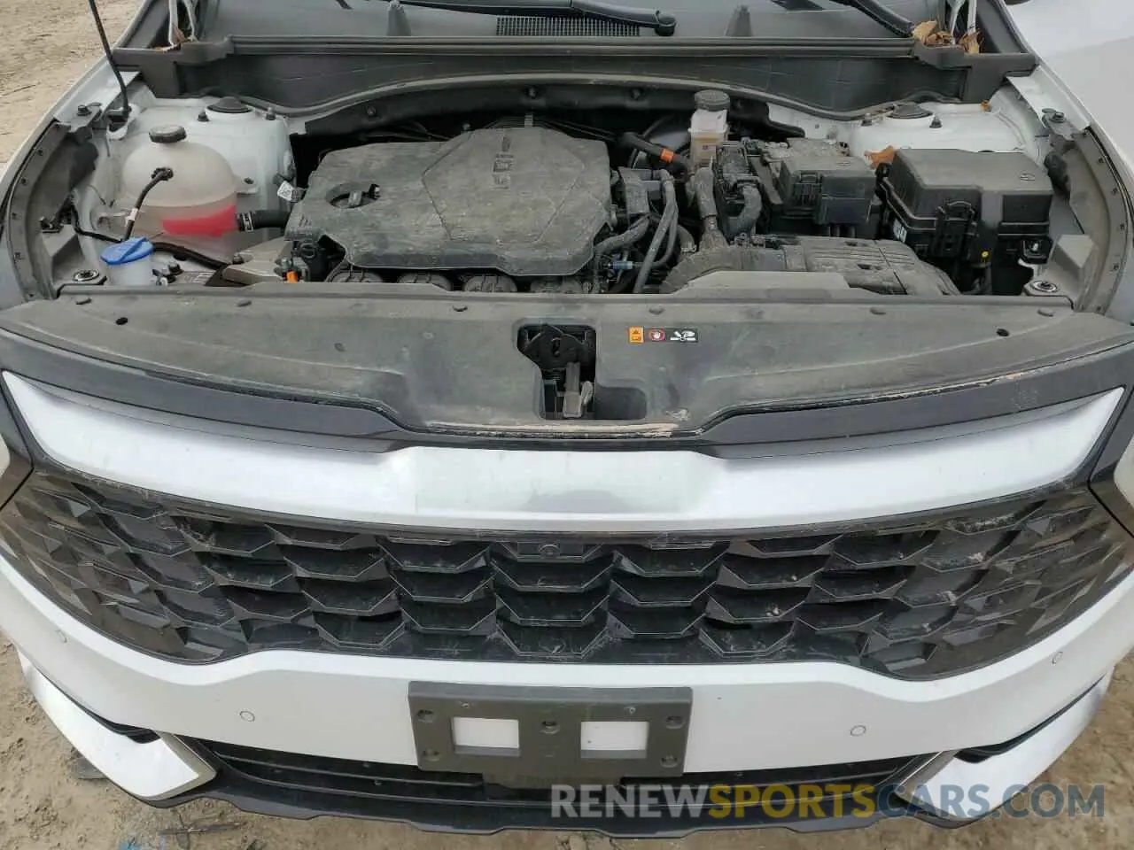 12 fotografías del automóvil dañado 5XYK53DF4RG146497 KIA SPORTAGE 2024