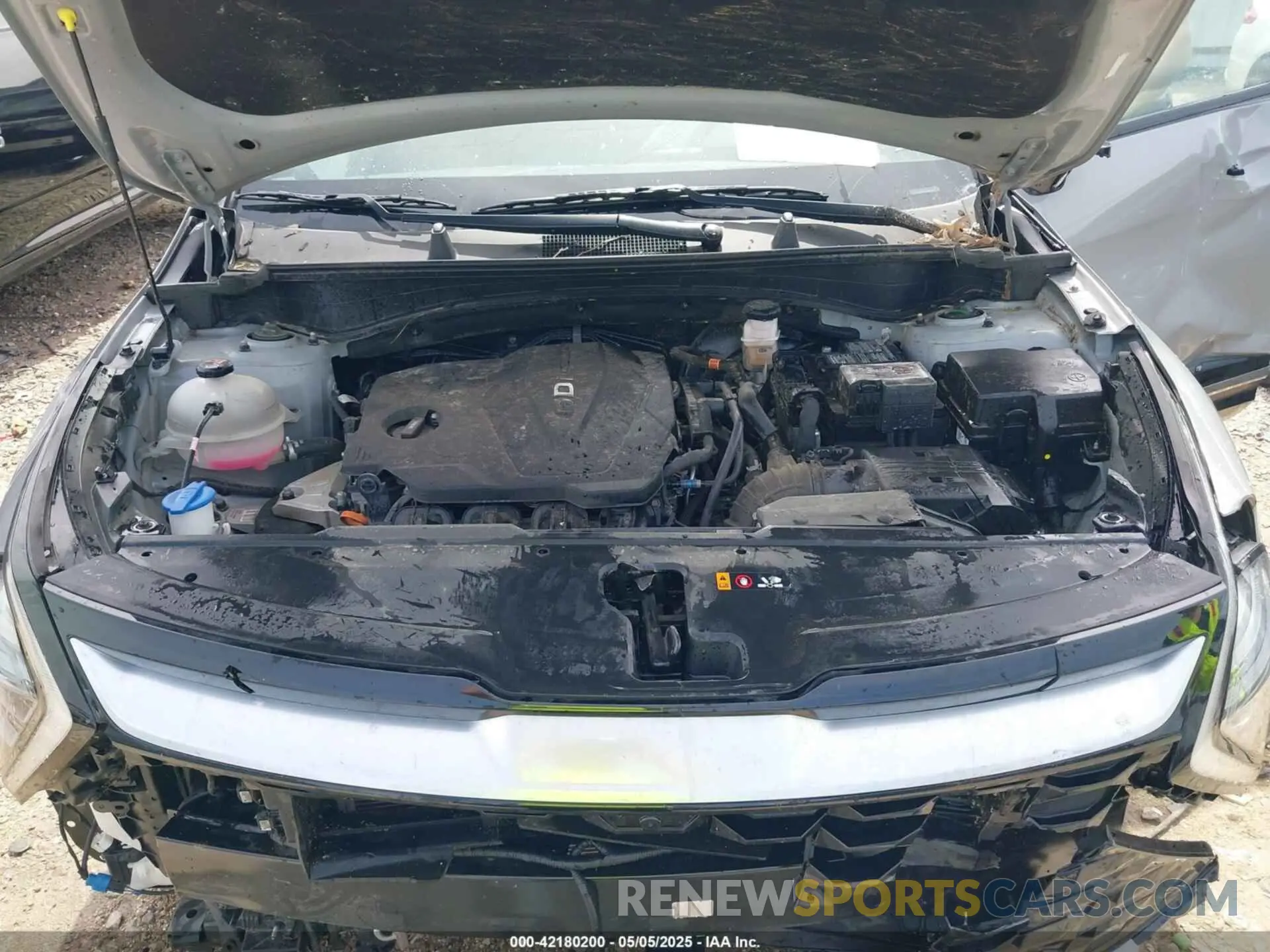 10 fotografías del automóvil dañado 5XYK53DF5RG172560 KIA SPORTAGE 2024