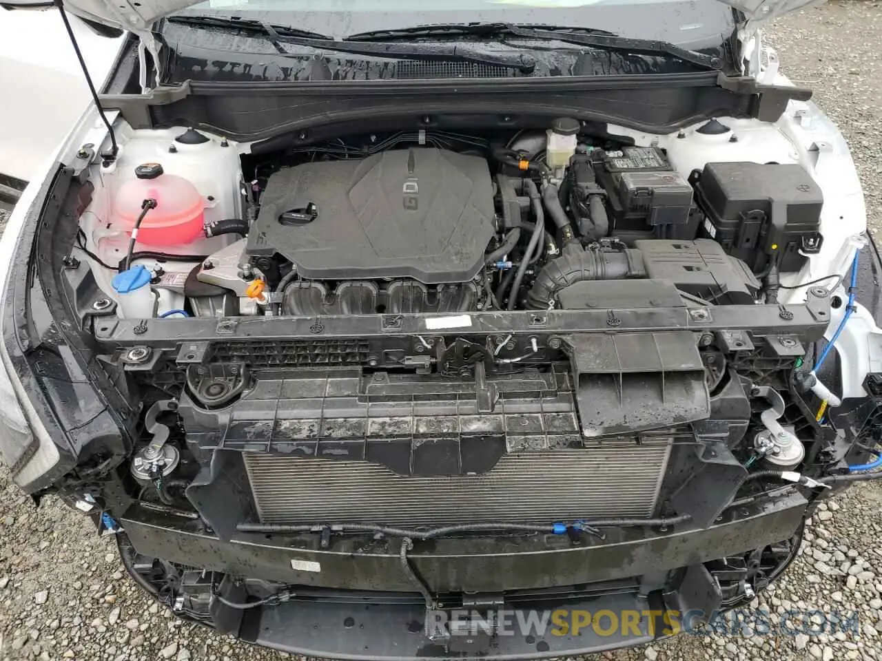 12 fotografías del automóvil dañado 5XYK5CDF4RG226771 KIA SPORTAGE 2024