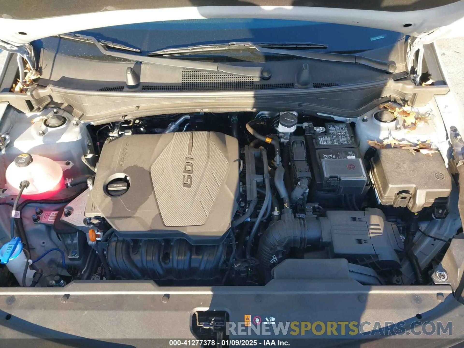10 fotografías del automóvil dañado 5XYK5CDF7RG196102 KIA SPORTAGE 2024