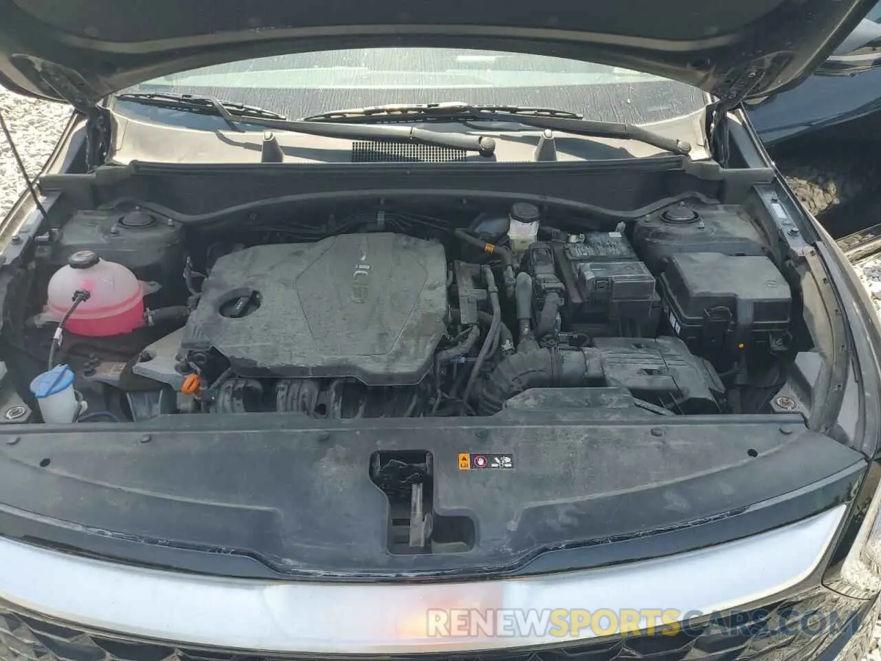 12 fotografías del automóvil dañado 5XYK5CDF8RG221539 KIA SPORTAGE 2024