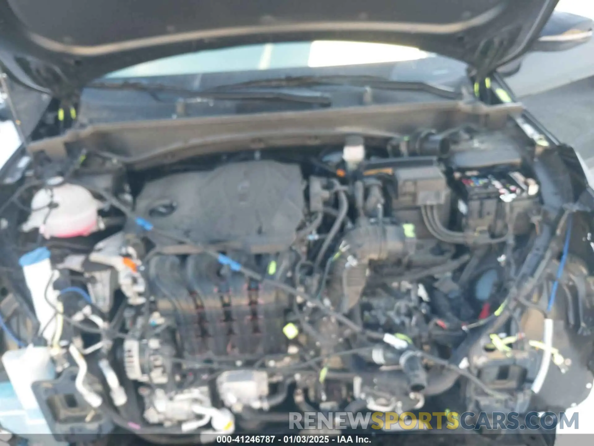10 fotografías del automóvil dañado 5XYK6CDF4RG187659 KIA SPORTAGE 2024