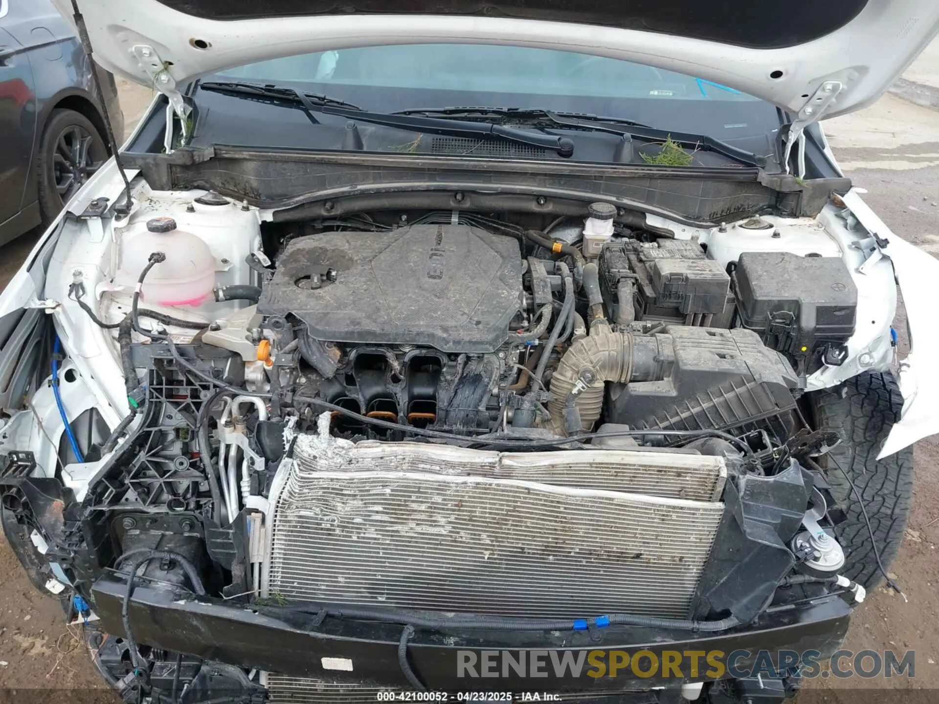 10 fotografías del automóvil dañado 5XYK7CDF1RG223496 KIA SPORTAGE 2024