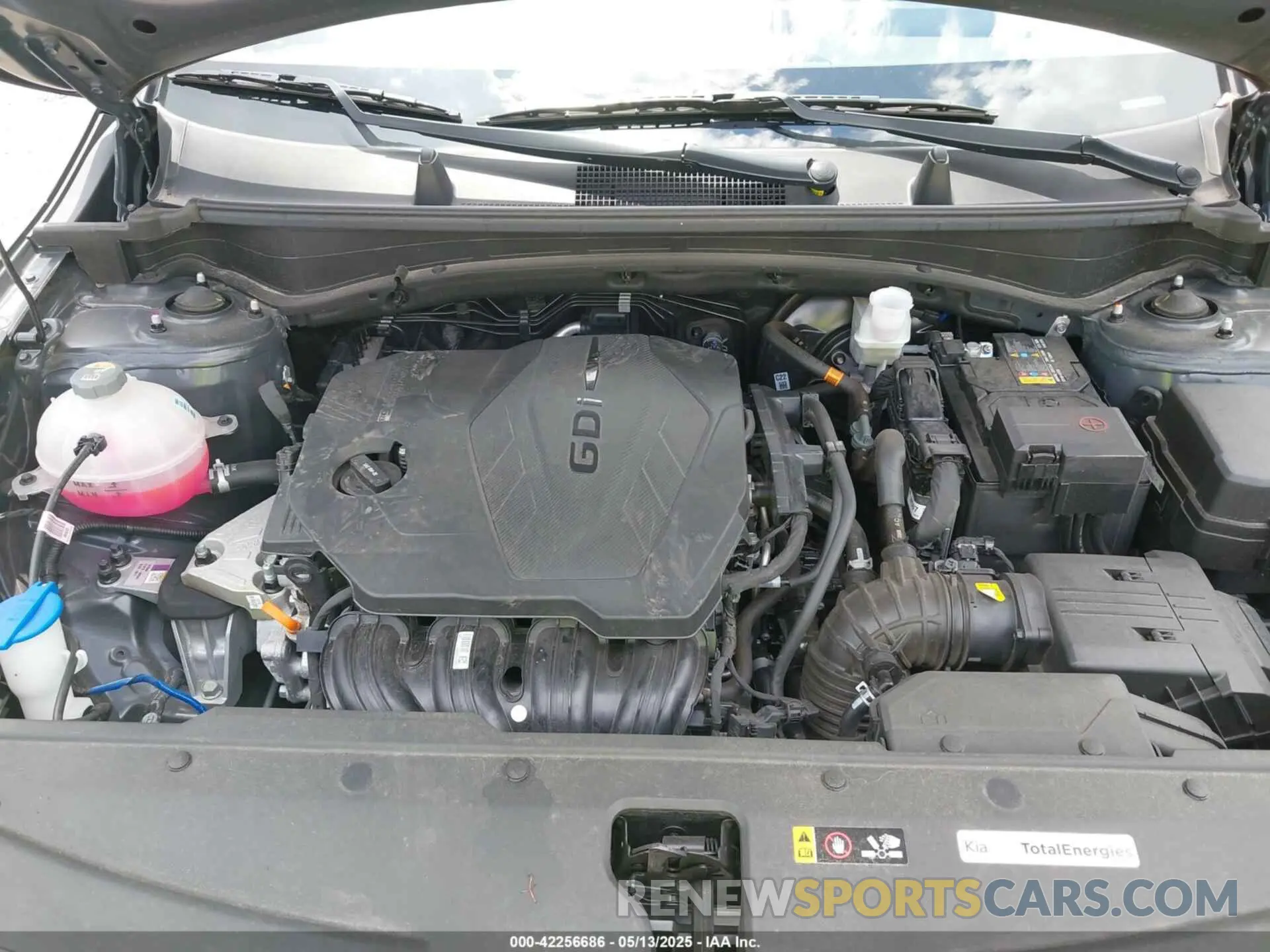 10 fotografías del automóvil dañado KNDPU3DF0R7271163 KIA SPORTAGE 2024