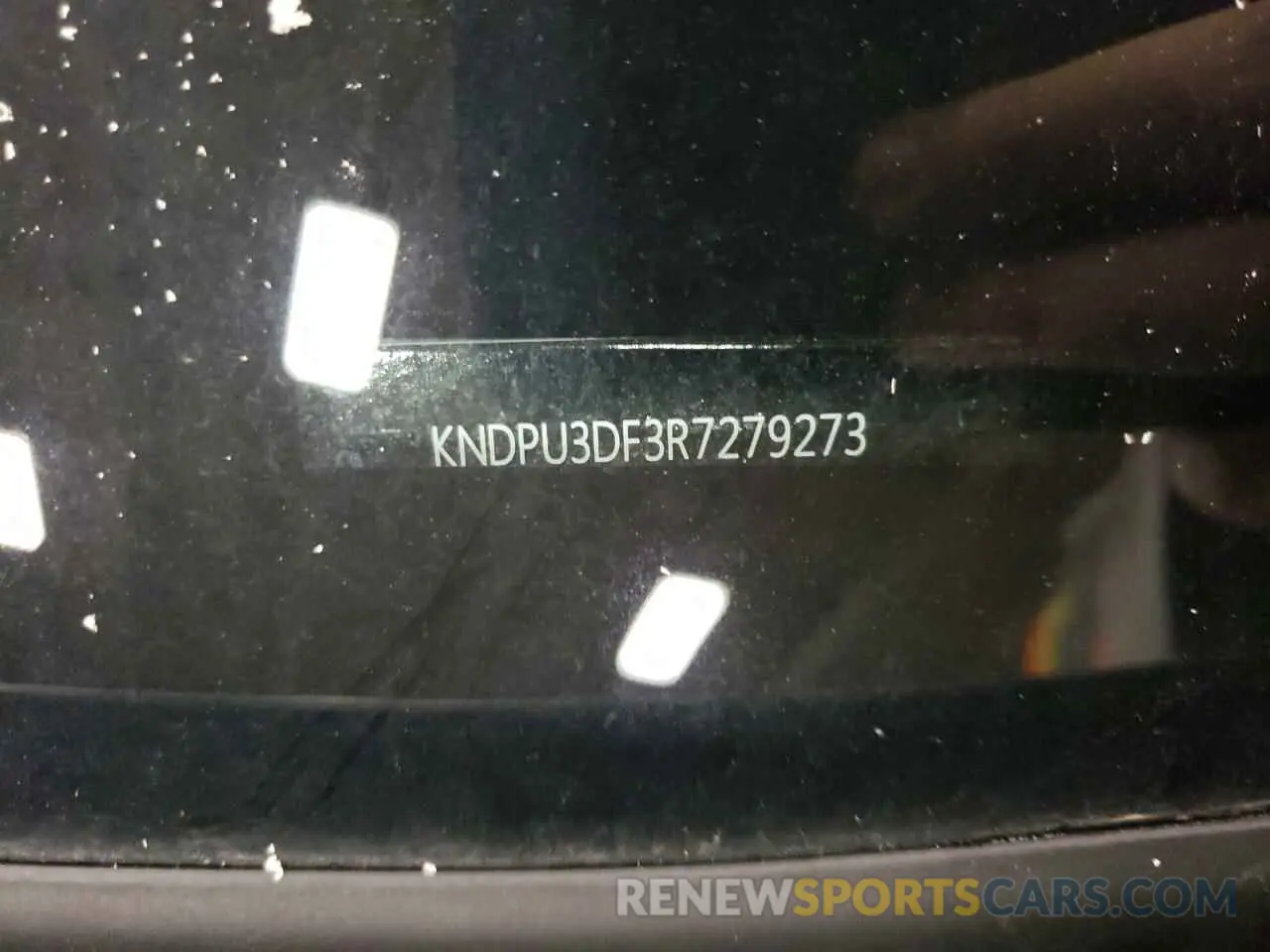 13 fotografías del automóvil dañado KNDPU3DF3R7279273 KIA SPORTAGE 2024