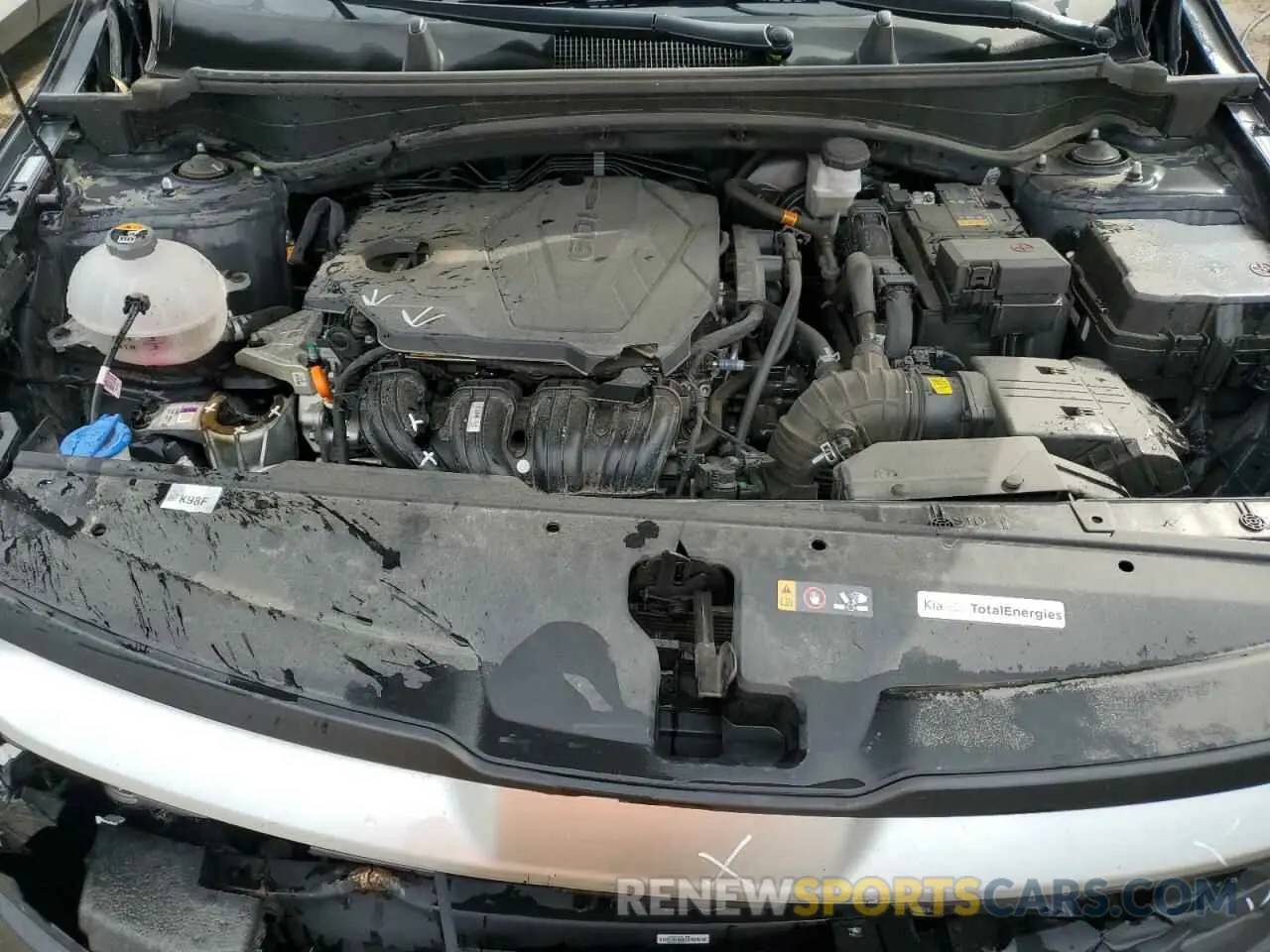 12 fotografías del automóvil dañado KNDPU3DF8R7269709 KIA SPORTAGE 2024
