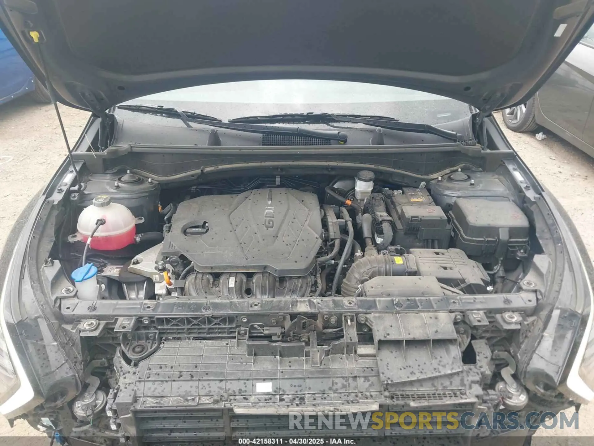 10 fotografías del automóvil dañado KNDPU3DFXR7285359 KIA SPORTAGE 2024