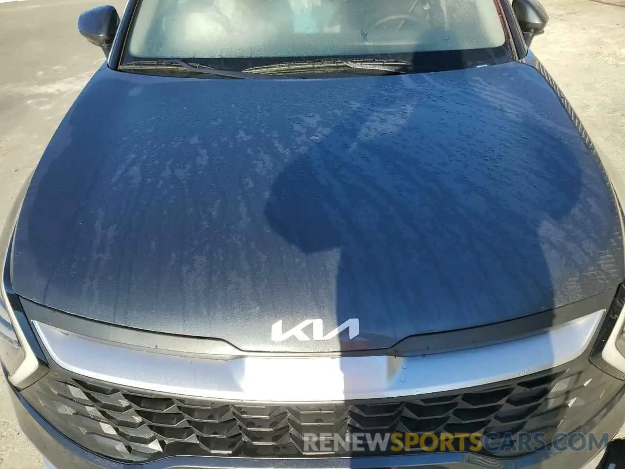 12 fotografías del automóvil dañado KNDPUCDF0R7251995 KIA SPORTAGE 2024