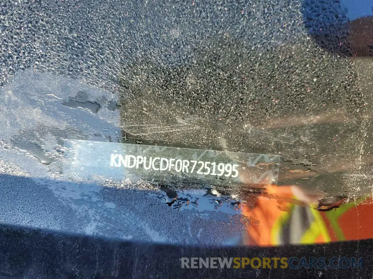 13 fotografías del automóvil dañado KNDPUCDF0R7251995 KIA SPORTAGE 2024