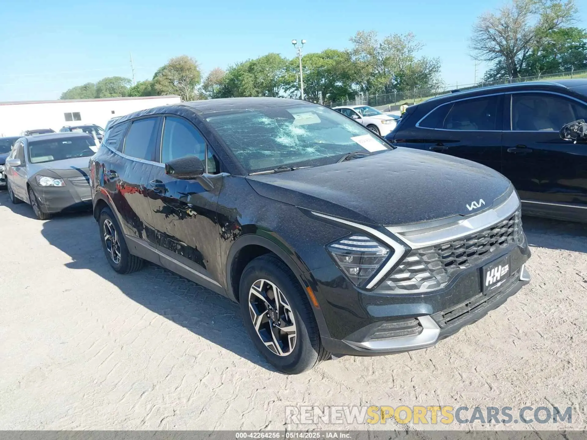 12 fotografías del automóvil dañado KNDPUCDF1R7241167 KIA SPORTAGE 2024