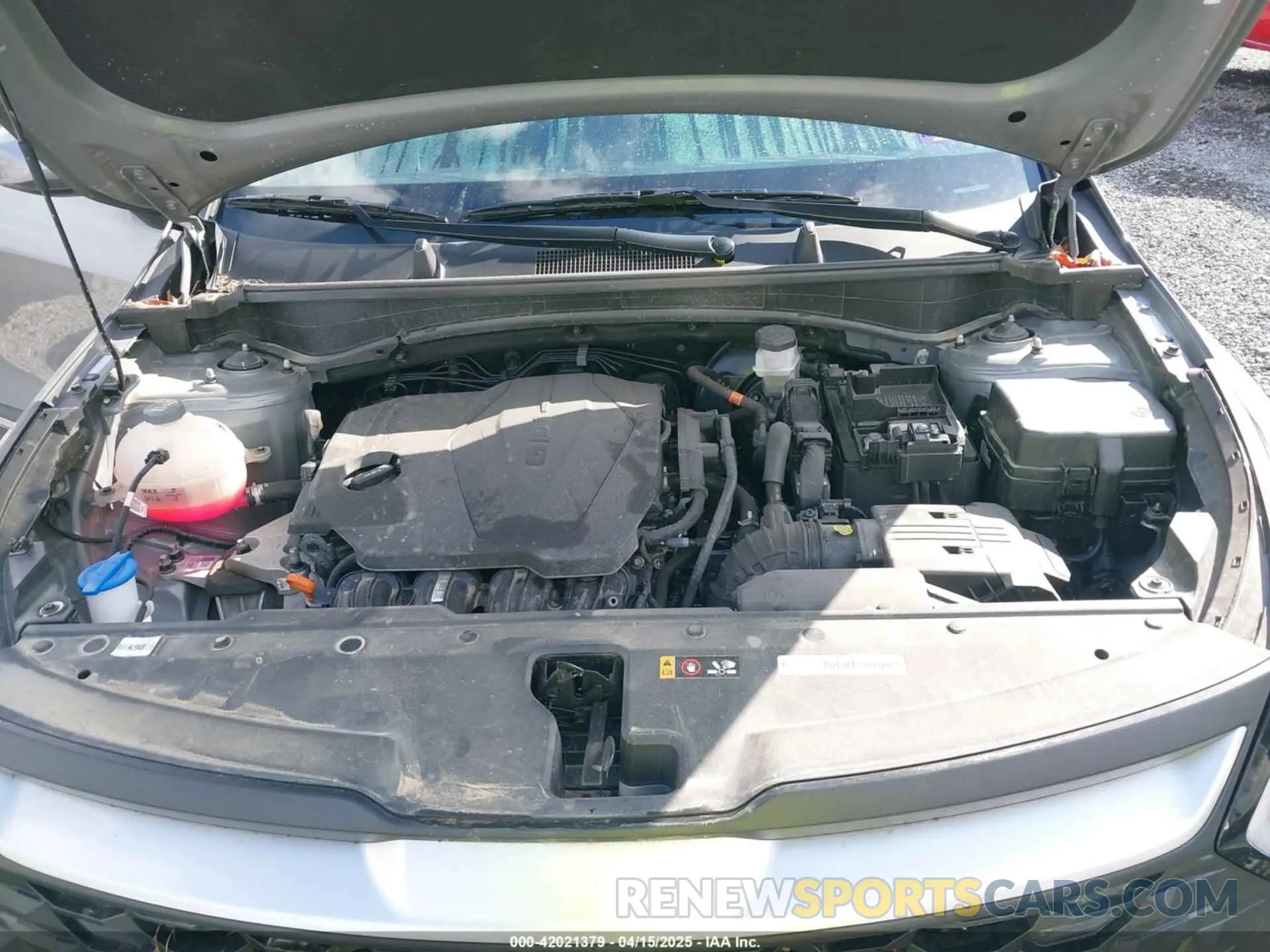 10 fotografías del automóvil dañado KNDPUCDF2R7223275 KIA SPORTAGE 2024