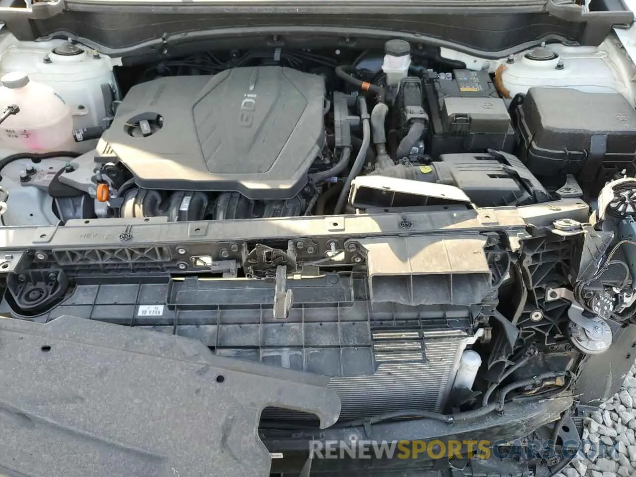 12 fotografías del automóvil dañado KNDPUCDF3R7237721 KIA SPORTAGE 2024