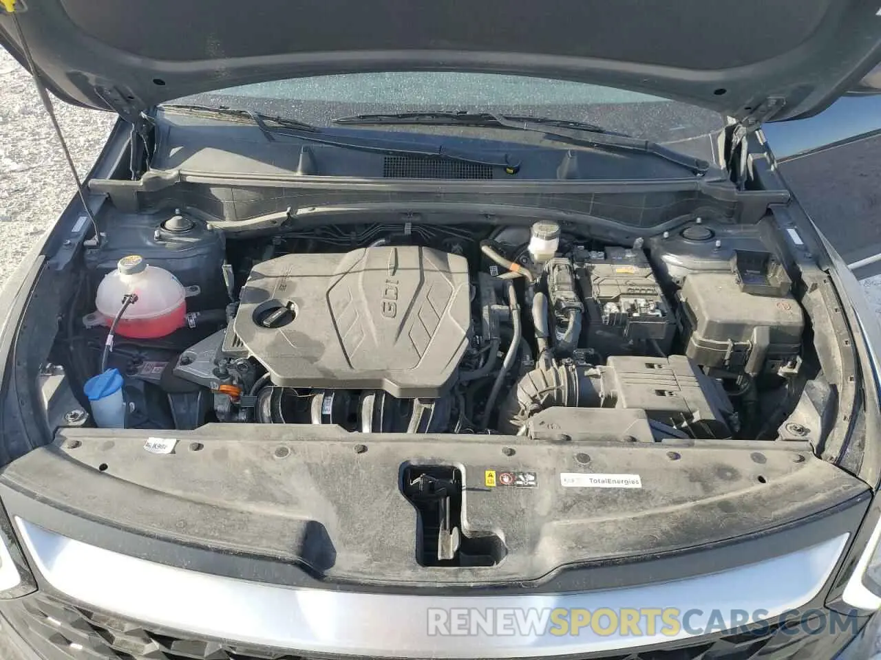 12 fotografías del automóvil dañado KNDPUCDF3R7250565 KIA SPORTAGE 2024