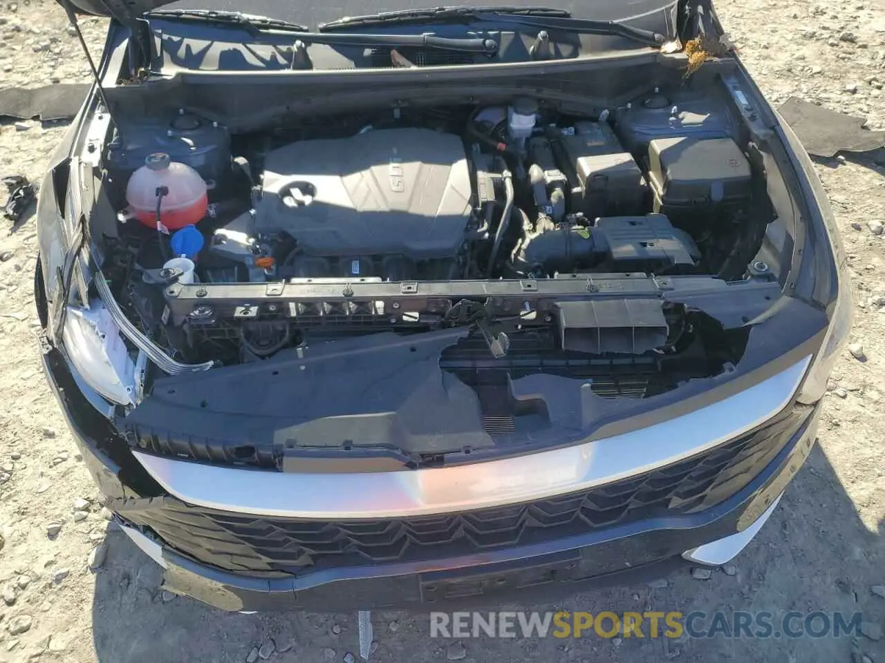 12 fotografías del automóvil dañado KNDPUCDF8R7238055 KIA SPORTAGE 2024
