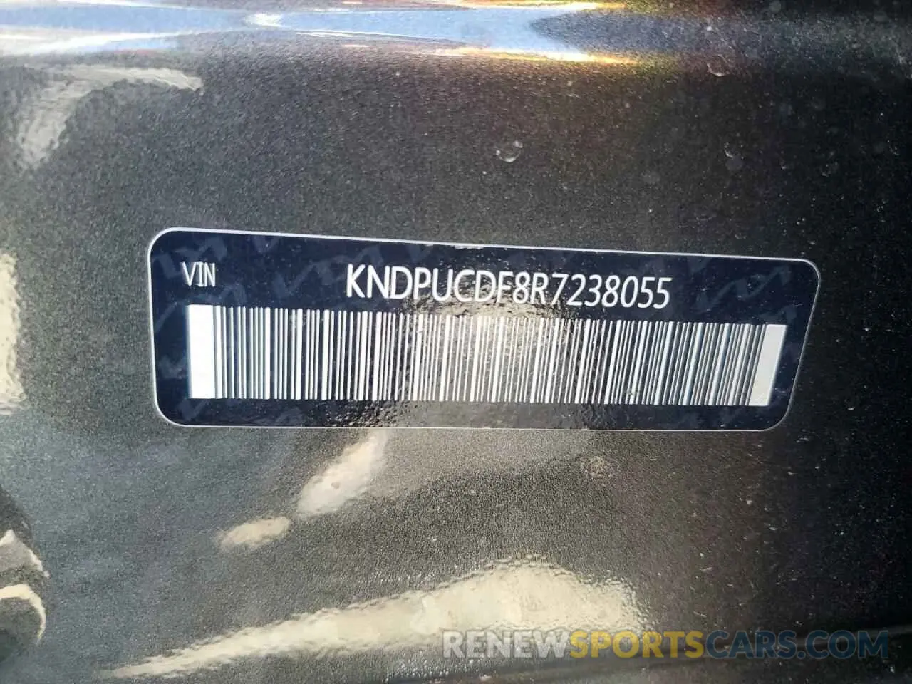 13 fotografías del automóvil dañado KNDPUCDF8R7238055 KIA SPORTAGE 2024