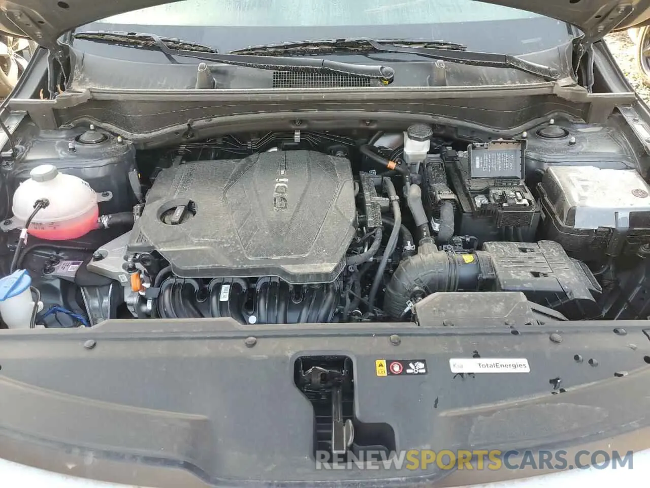 12 fotografías del automóvil dañado KNDPUCDFXR7243354 KIA SPORTAGE 2024