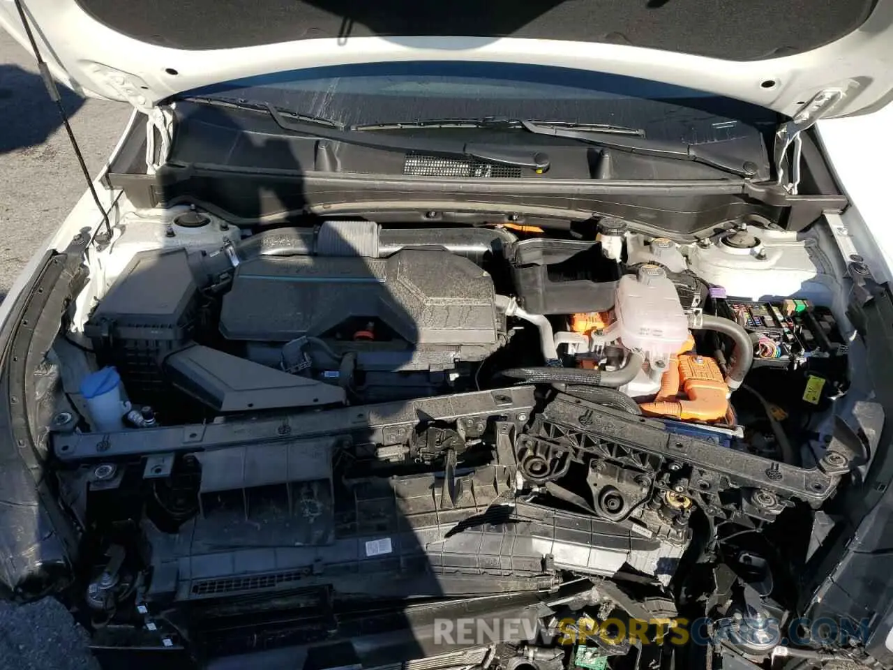 13 fotografías del automóvil dañado KNDPUCDG0R7136483 KIA SPORTAGE 2024