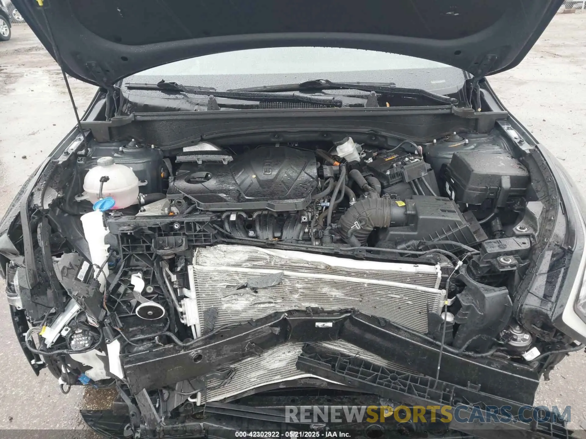 10 fotografías del automóvil dañado KNDPVCDF0R7216970 KIA SPORTAGE 2024