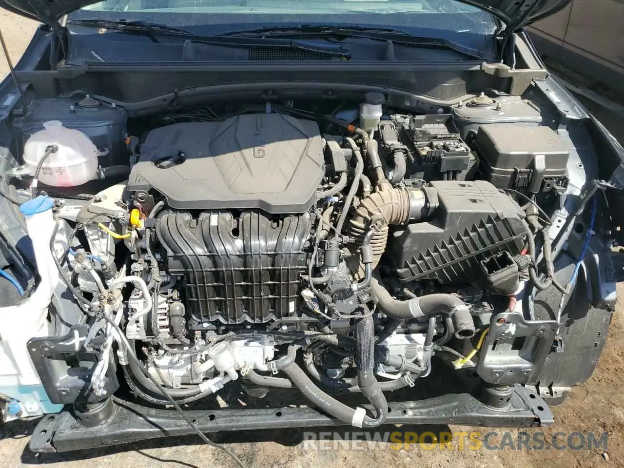 12 fotografías del automóvil dañado KNDPVCDF0R7311285 KIA SPORTAGE 2024