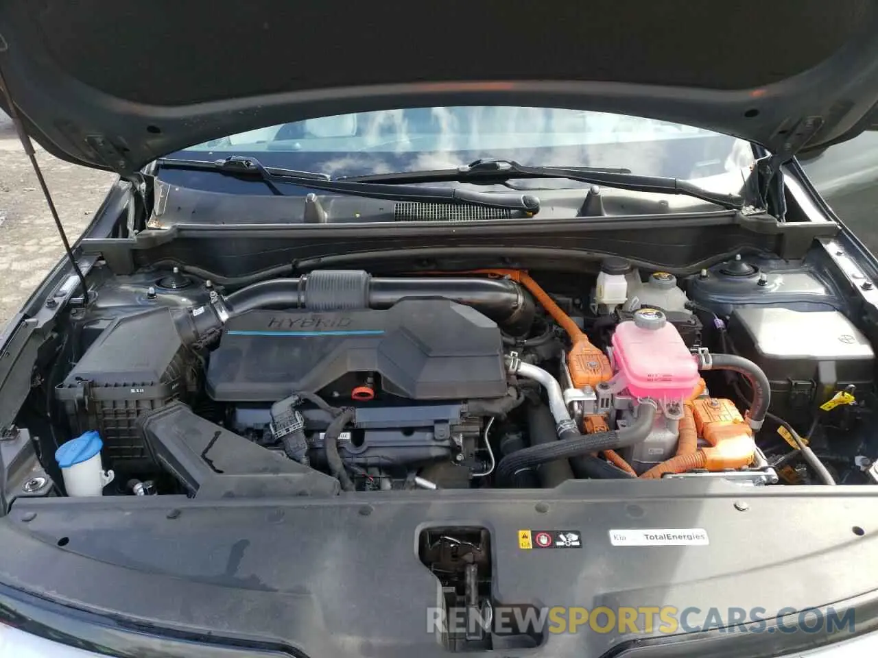 12 fotografías del automóvil dañado KNDPVCDG4R7121367 KIA SPORTAGE 2024