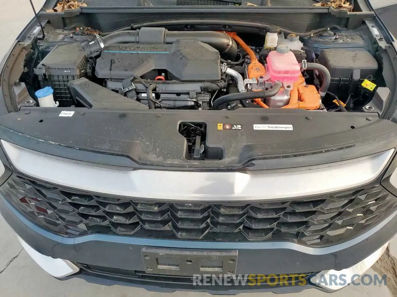 12 fotografías del automóvil dañado KNDPXCDG0R7122672 KIA SPORTAGE 2024