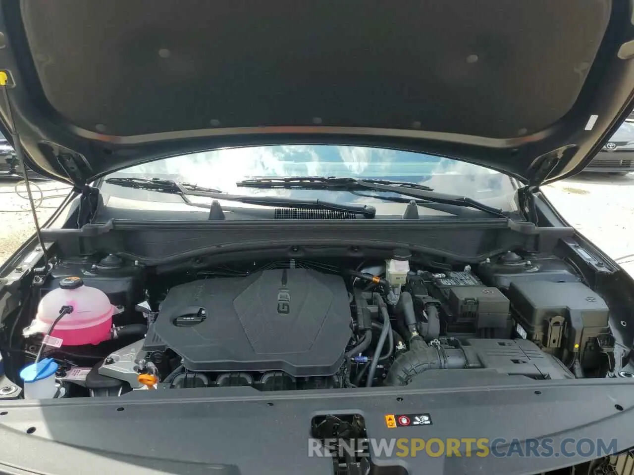 12 fotografías del automóvil dañado 5XYK23DF7SG319427 KIA SPORTAGE 2025