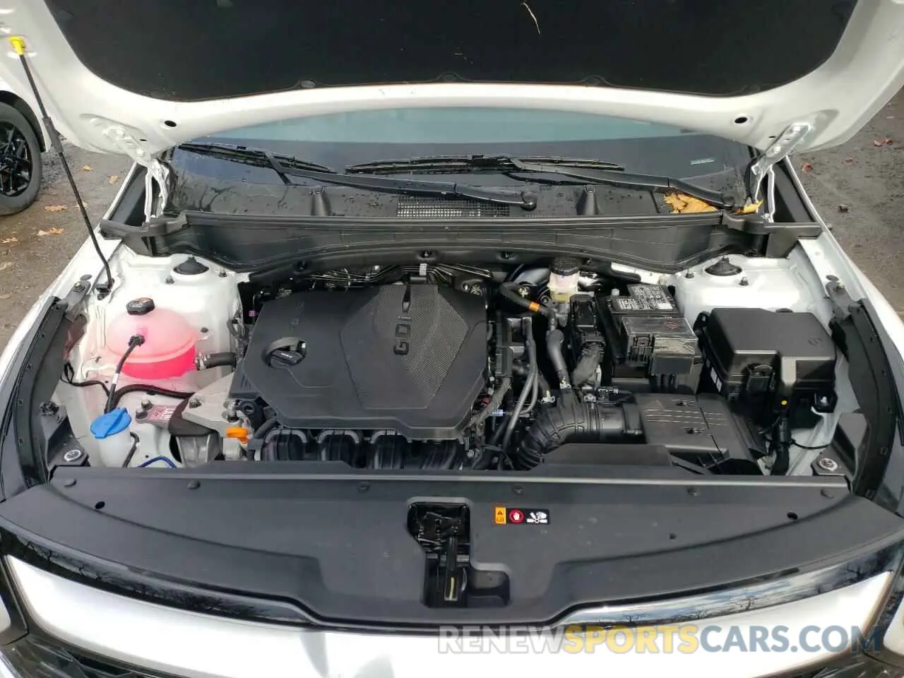 11 fotografías del automóvil dañado 5XYK33DF6SG242496 KIA SPORTAGE 2025