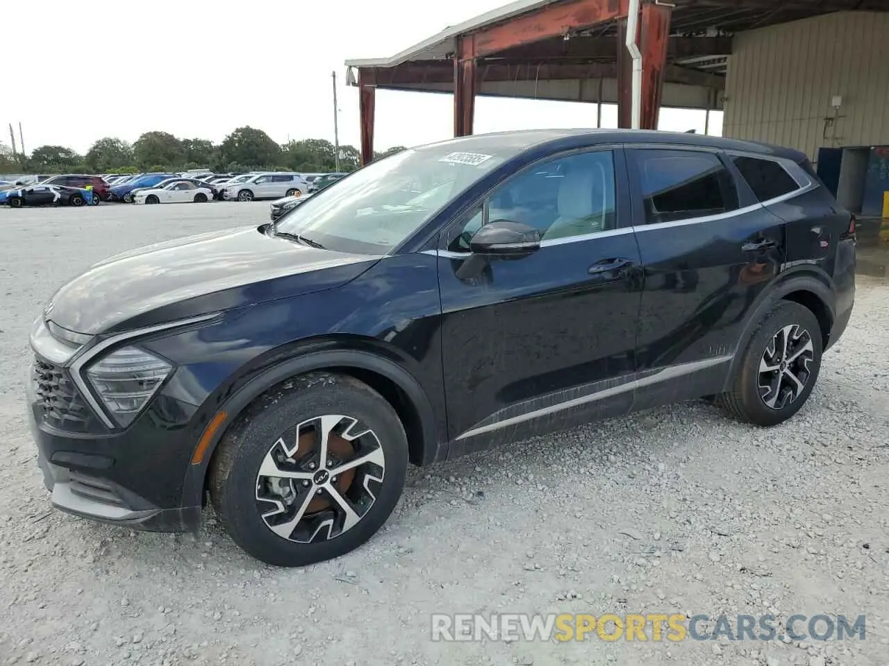 1 fotografías del automóvil dañado 5XYK33DF8SG260854 KIA SPORTAGE 2025