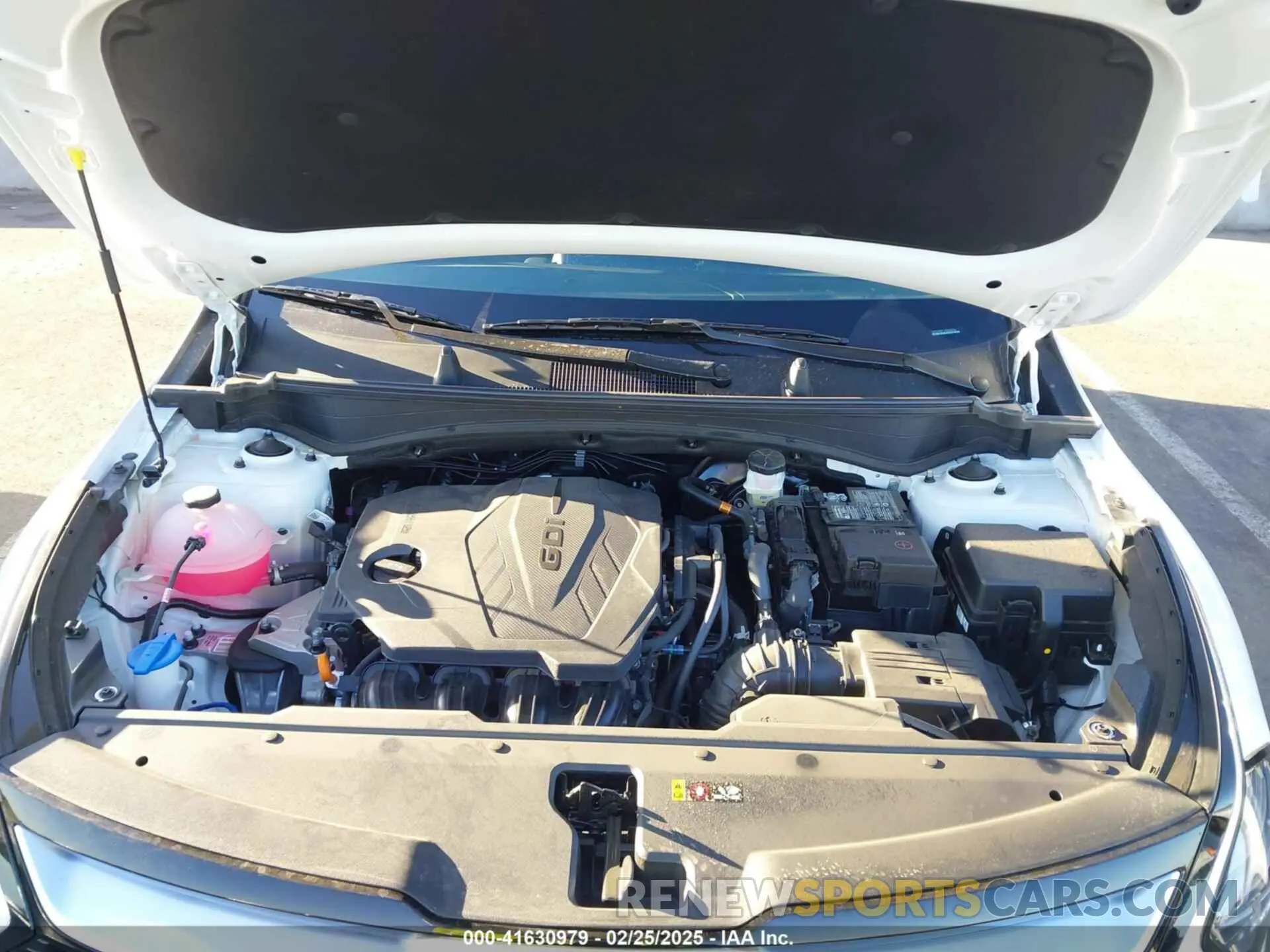 10 fotografías del automóvil dañado 5XYK43DF1SG264614 KIA SPORTAGE 2025