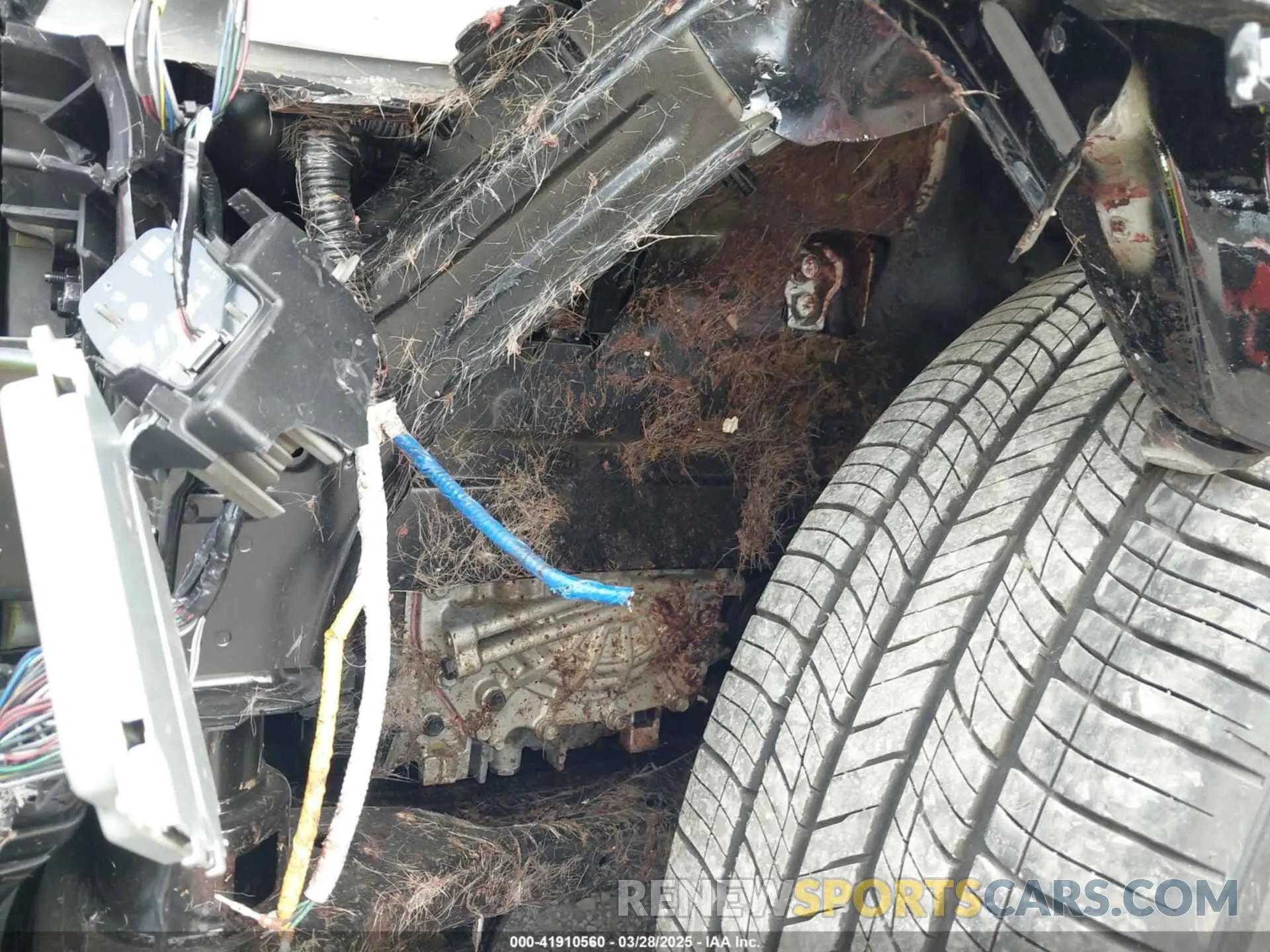 19 fotografías del automóvil dañado 5XYK6CDF3SG293512 KIA SPORTAGE 2025