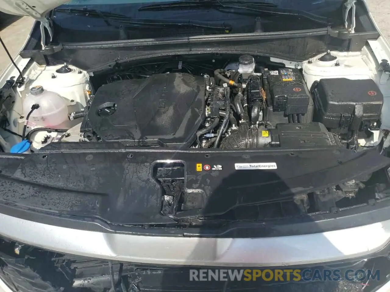 12 fotografías del automóvil dañado KNDPU3DF1S7345437 KIA SPORTAGE 2025