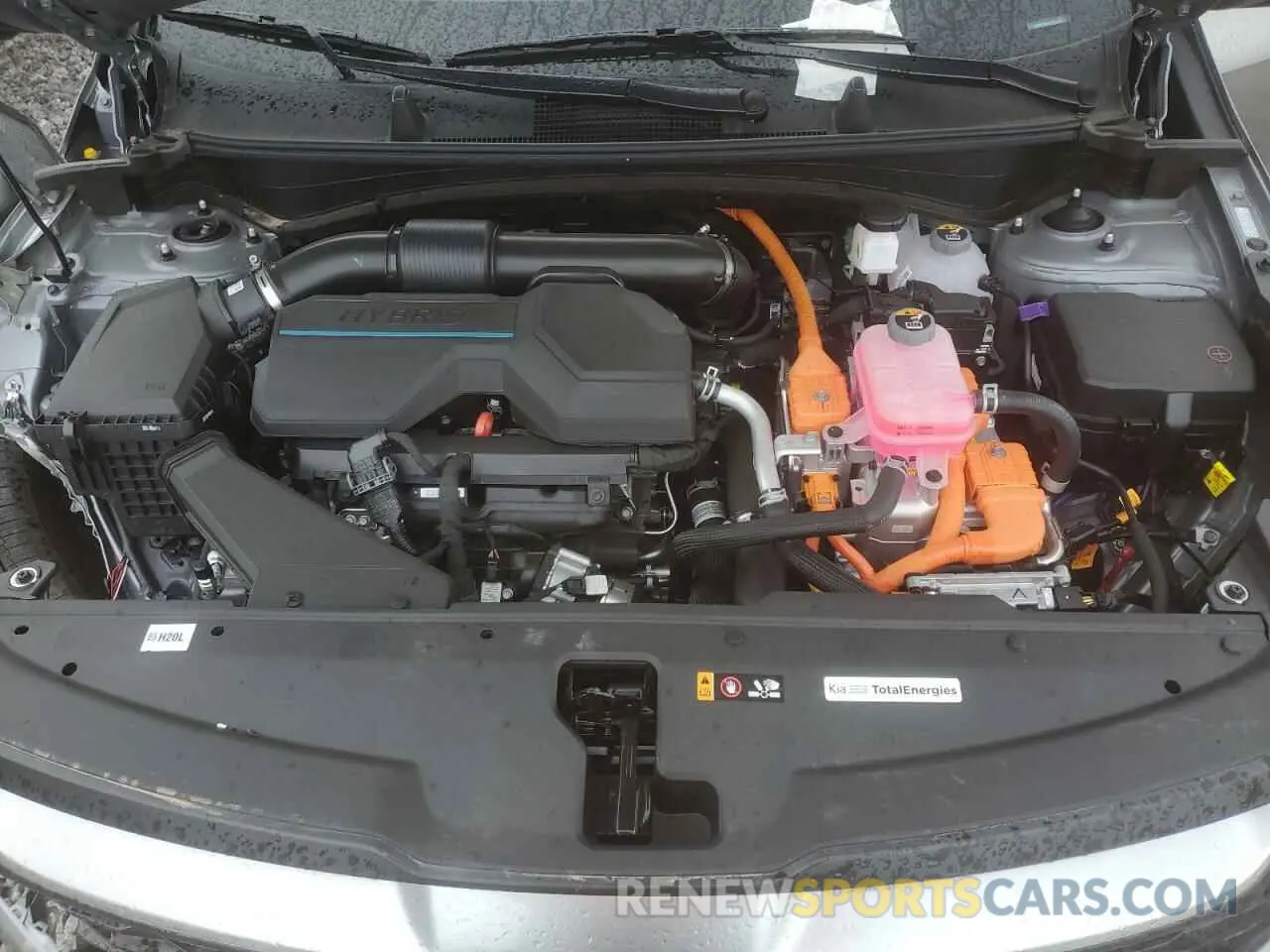 12 fotografías del automóvil dañado KNDPU3DG1S7193975 KIA SPORTAGE 2025